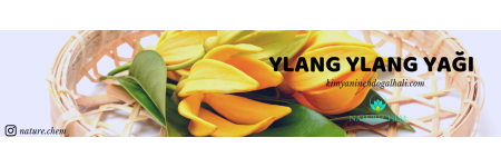 Ylang Ylang Yağı Nasıl Kullanılır ? Faydaları Nelerdir ?